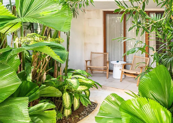 Ivaya 8-guesthouse 4* サヌール